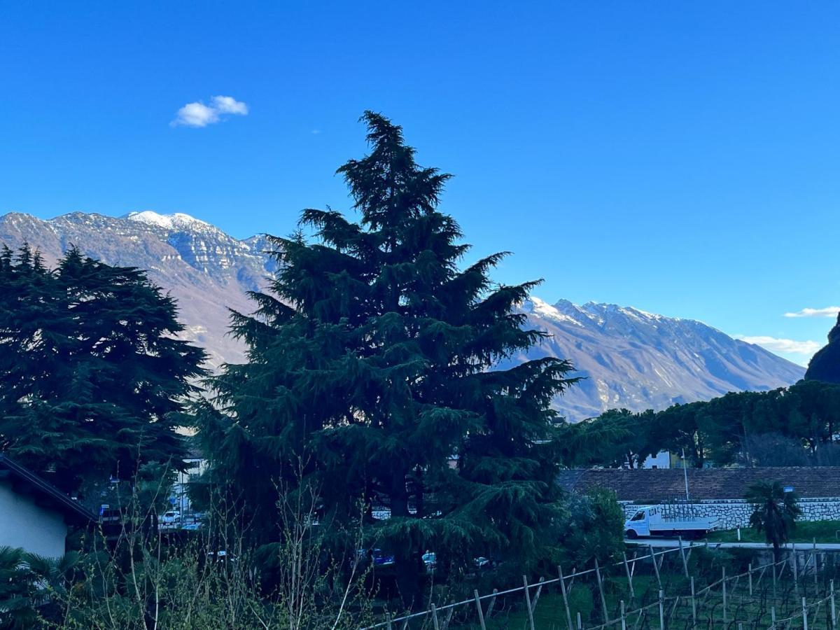 Albola Suite Holiday Apartments Riva del Garda Eksteriør bilde