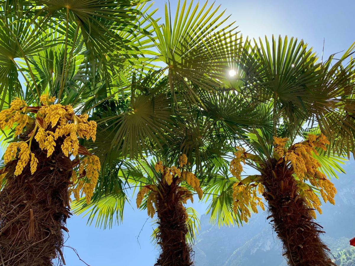 Albola Suite Holiday Apartments Riva del Garda Eksteriør bilde